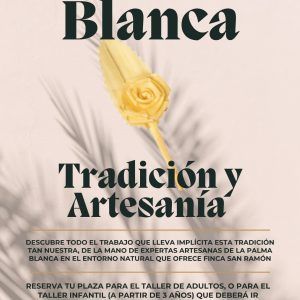 EXPERIENCIA “TRENZADO DE PALMA BLANCA”