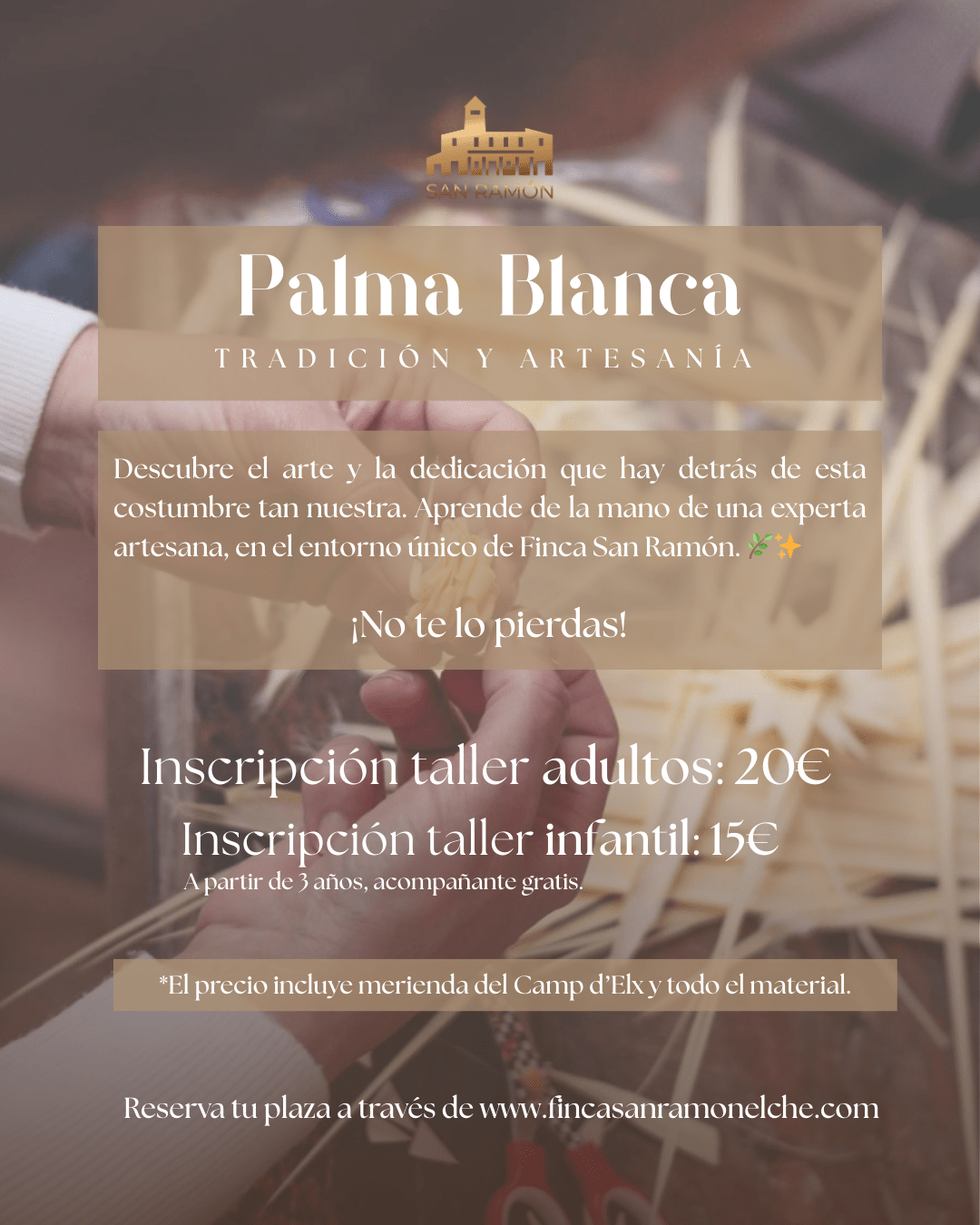 EXPERIENCIA “TALLER DE PALMA BLANCA” - INFANTIL - Imagen 2