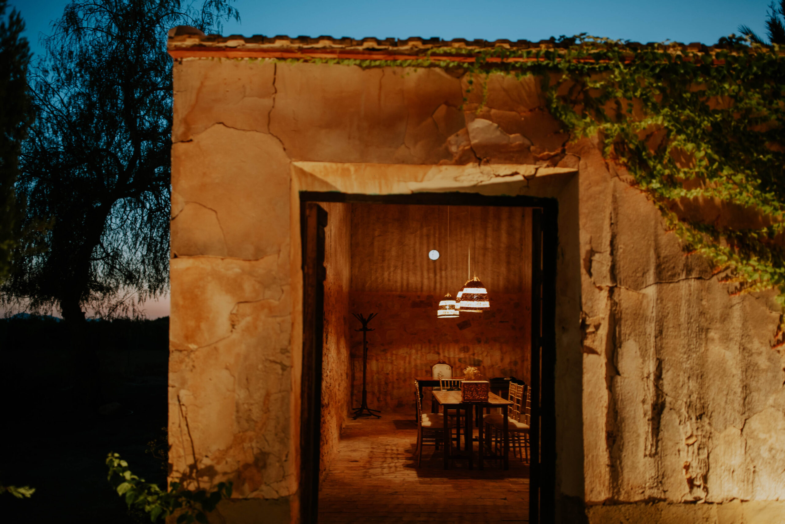 FINCA SAN RAMON-10333