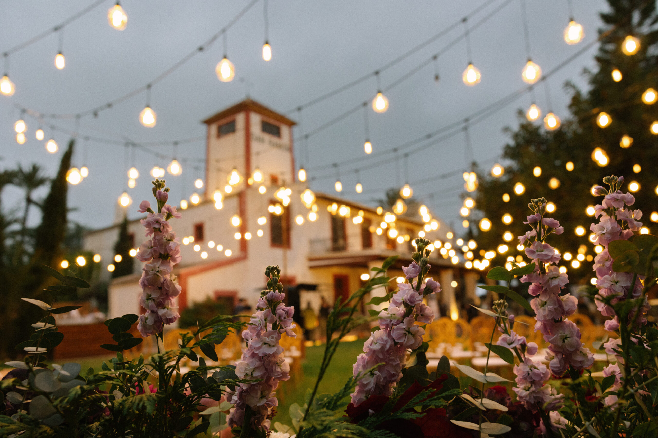 Puertas Abiertas San Ramon