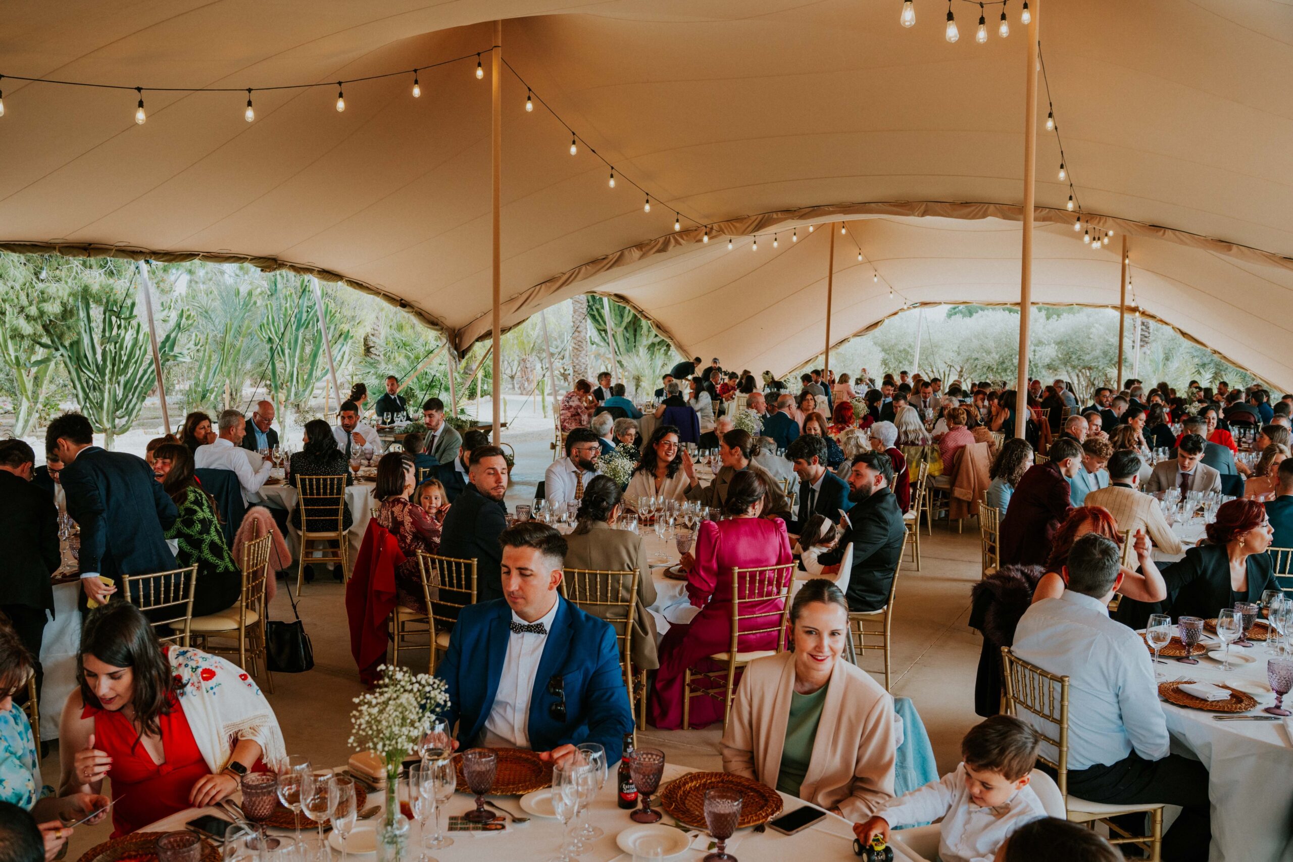 JacquelineBrito_FyN_511