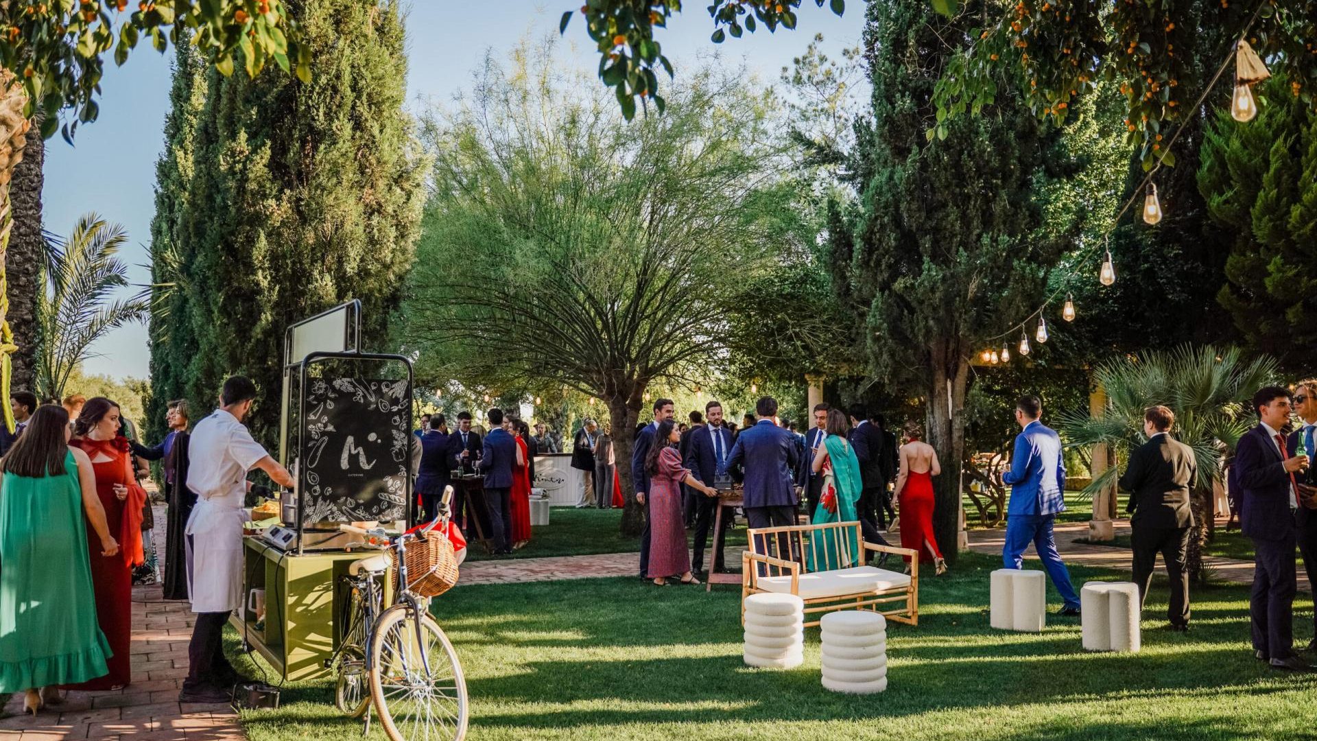 Boda-504