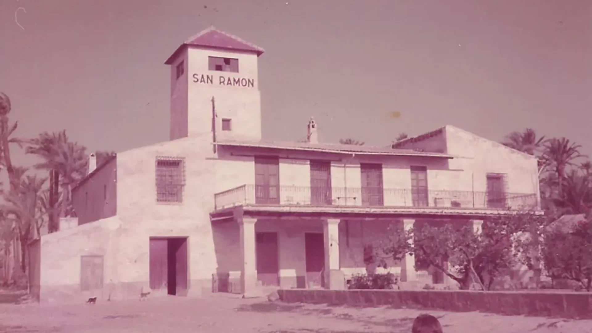Finca-San-Ramon-Elche-14