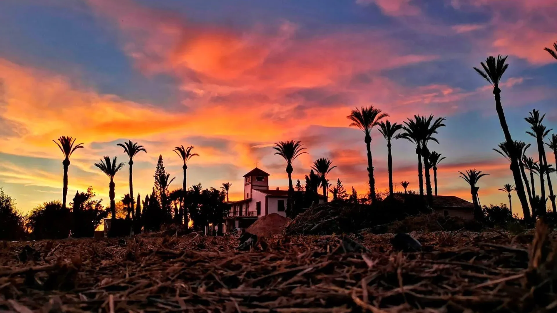 Finca-San-Ramon-Elche-18